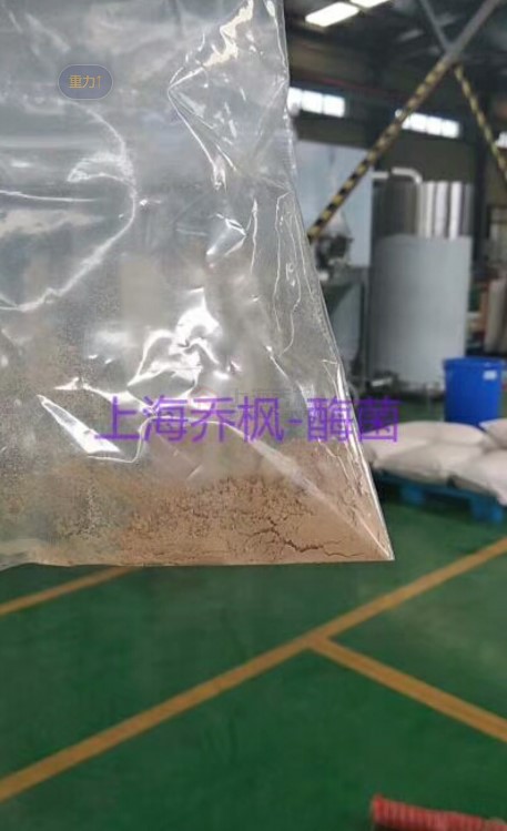 采用低溫噴霧干燥機(jī)做霉菌溶液干燥實驗效果極佳